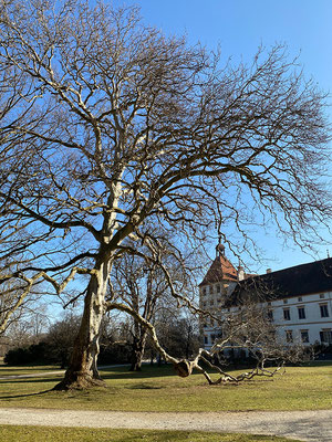 22.02. Schlosspark Eggenberg