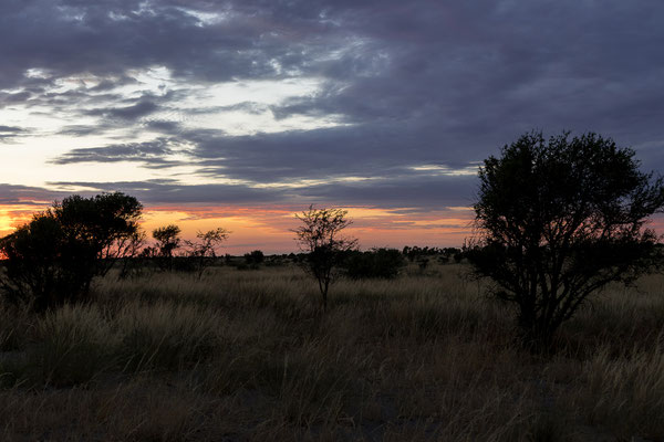 12.03. Xade Campsite: nach dem Essen genießen wir den schönen Sternenhimmel.