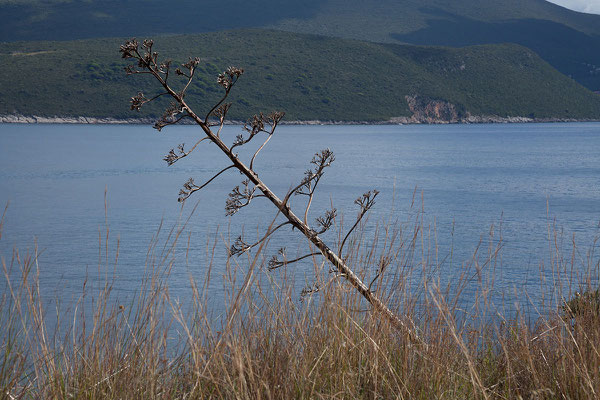 20.09. Das Kap Oštro ist der südlichste Punkt Kroatiens. 