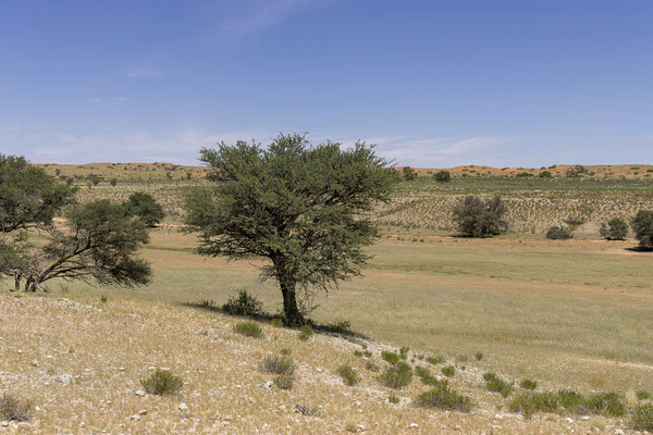 04.03. Weiter gehts den Auob entlang nach Süden