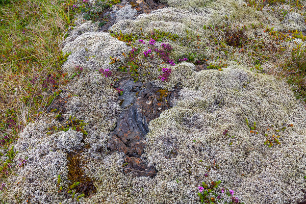 31.07. Hlíðarvatn