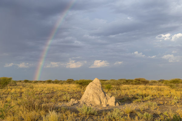 16.03. Morning Drive