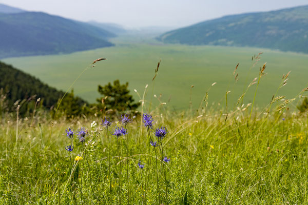 Planina Cincar