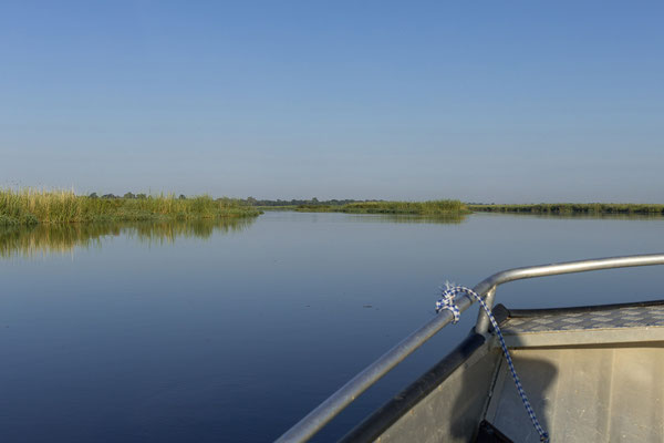 20.03. Morning Cruise