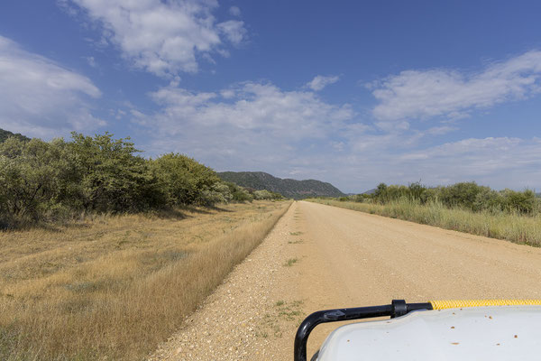 25.03. Unterwegs zum Waterberg müssen wir einige Fotostopps einlegen.