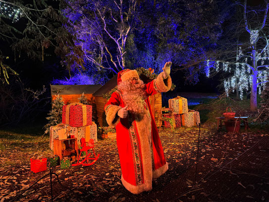 Christmas at Kew