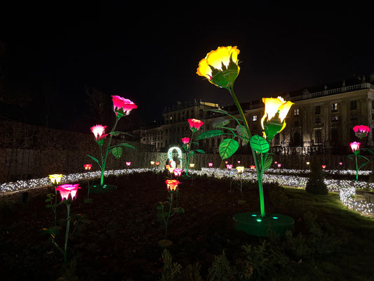Imperial Lights, Schönbrunn
