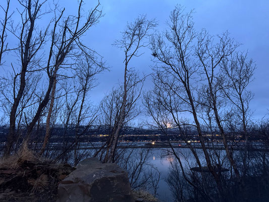 Forest Lagoon