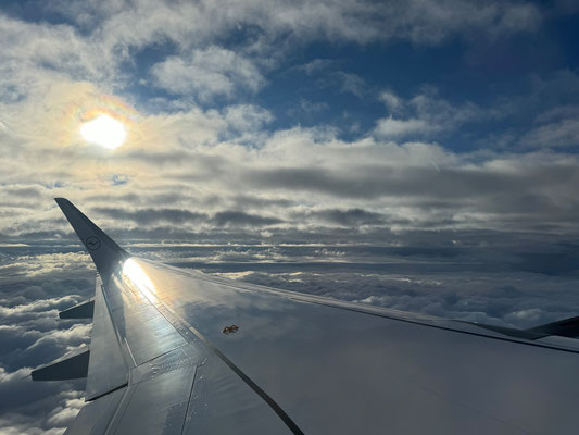 Am Tag nach dem Ausflug ...
