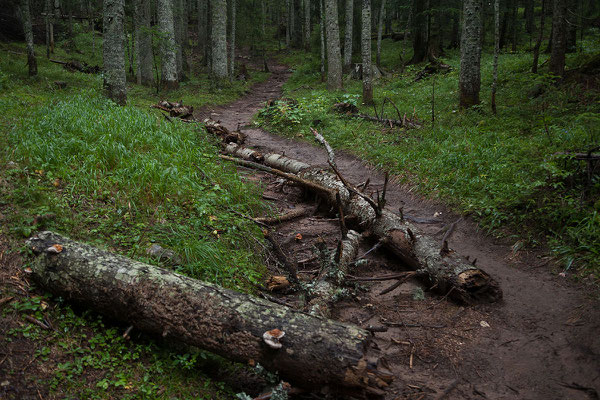 9.9. Vom Camping Ivan Do spazieren wir durch einen schönen Wald zum nahen Crno Jezero.