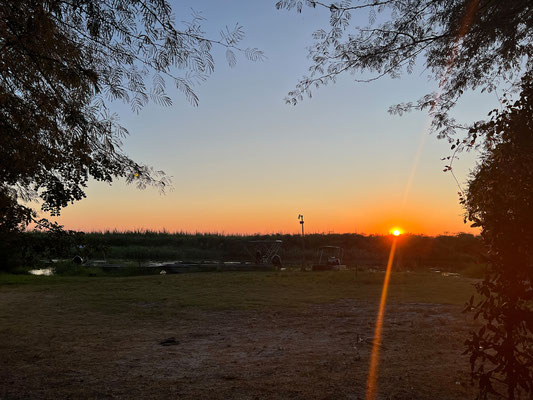 19.03. Swamp Stop: bei Sonnenaufgang ...