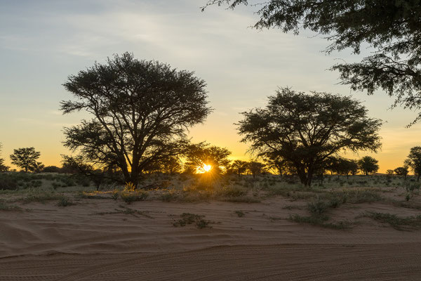 05.03. Den Abend auf unserer Campsite in Rooiputs genießen wir sehr.