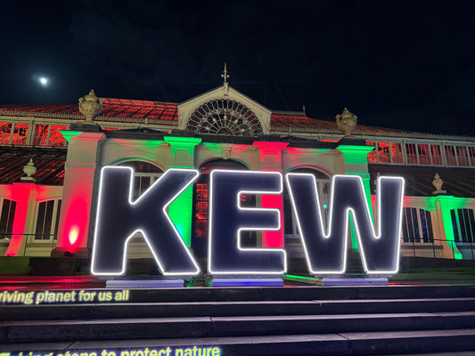 Christmas at Kew