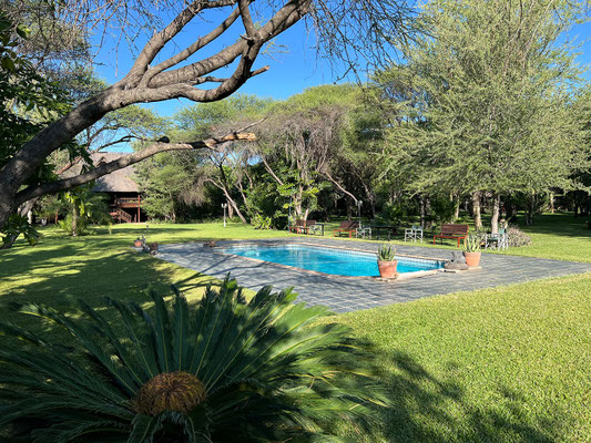 21.03. Nach dem Frühstück spazieren wir durch den schönen Garten der Drotsky's Cabins.