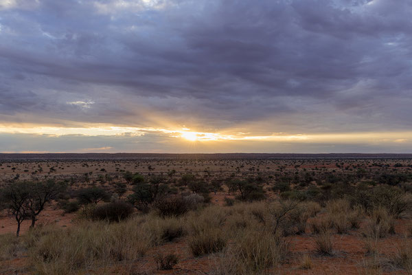 02.03. Red Dune Camp