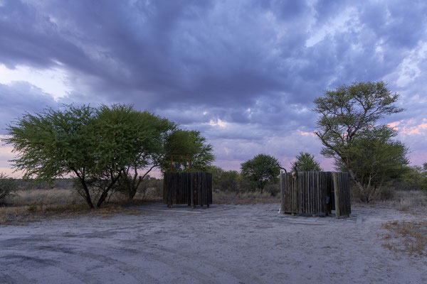 16.03. In der Nacht blitzt es zwar, mehr als ein paar Tropfen gibt es leider nicht. Um 6:30 starten wir zum letzten Morning Drive dieser Reise im CKGR.