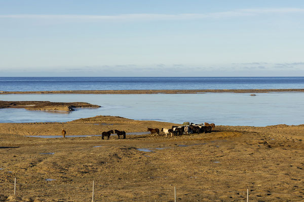Weiterfahrt entlang des Skagafjörður