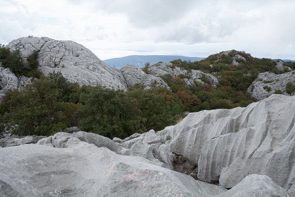 19.9. Orjen Gebirge - Das eindrucksvolle Karstgebirge zeichnet sich durch überdurchschnittliche Regenmengen aus. 