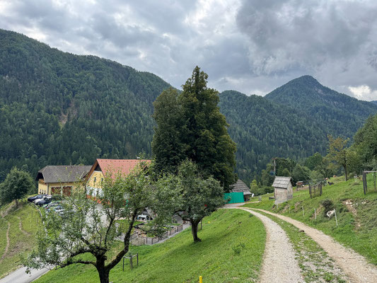 3D Bogenparcours Gradišnik