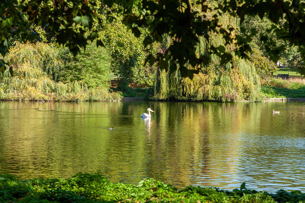 13.09. St. James Park