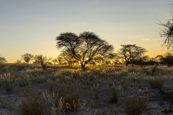09.03. Bosobogolo 02 Campsite