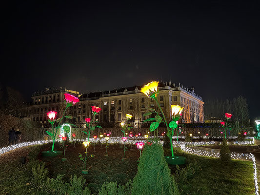 Imperial Lights, Schönbrunn