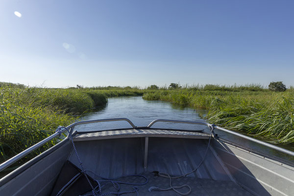 20.03. Morning Cruise