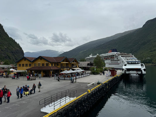 Fjordkreuzfahrt durch den Nærøyfjord von Flåm nach Gundvangen 