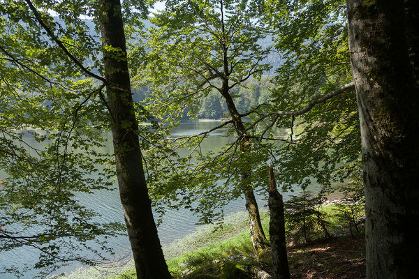 13.9. Nationalpark Biogradska Gora