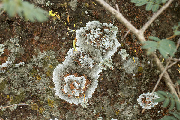 26.03. Porcupine/Fountain Trail 