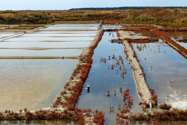 Salzgärten von Guérande
