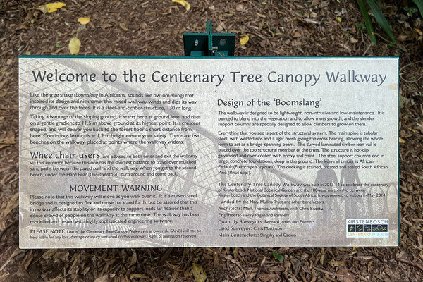 14.10. Kirstenbosch Botanical Garden: der Centenary Tree Canopy Walkway führt in 12m Höhe über 130 m durch die Baumkronen.