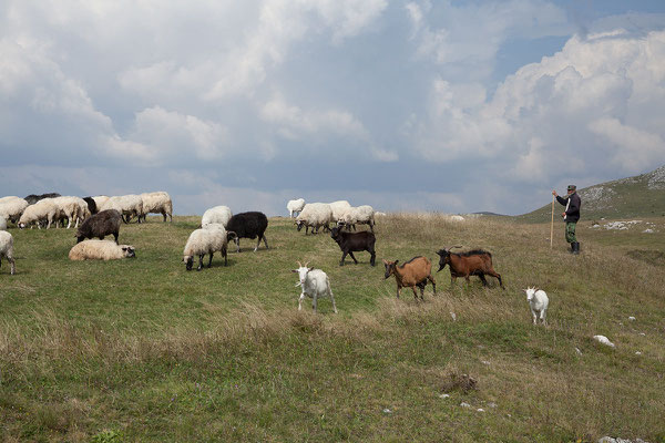 11.9. Riblje Jezero