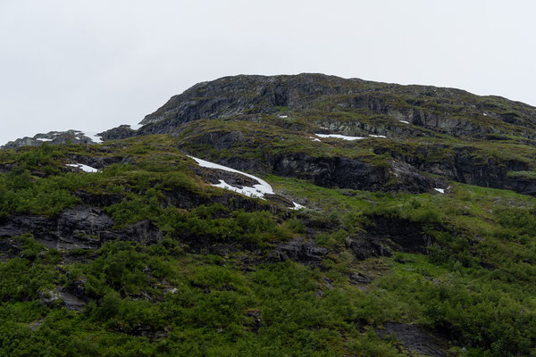 Flåmsbana von Myrdal nach Flåm 