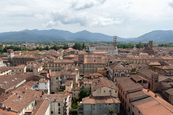 07.06. Lucca: Blick vom Torre Guinigi