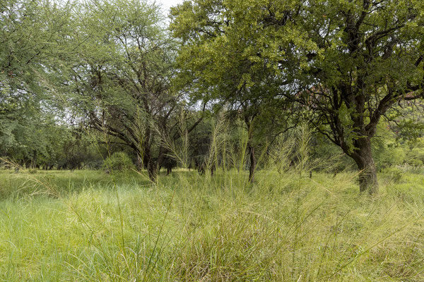 26.03. Porcupine/Fountain Trail 