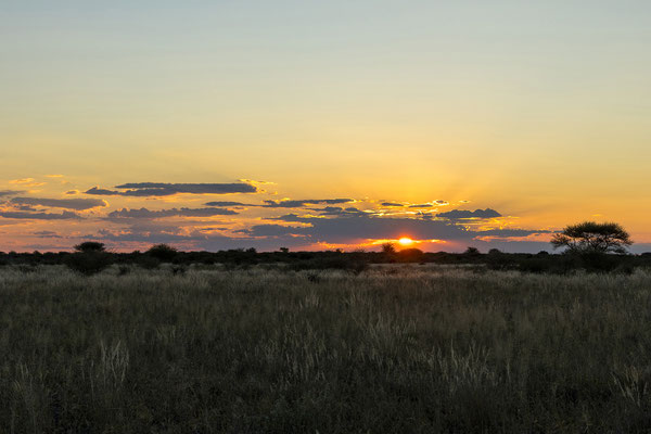 14.03. Evening Drive