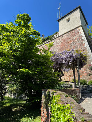 01.05. Schloßberg