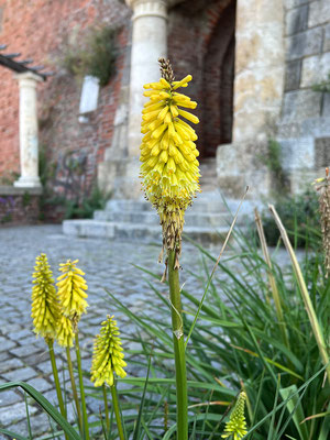 16.06. Schlossberg