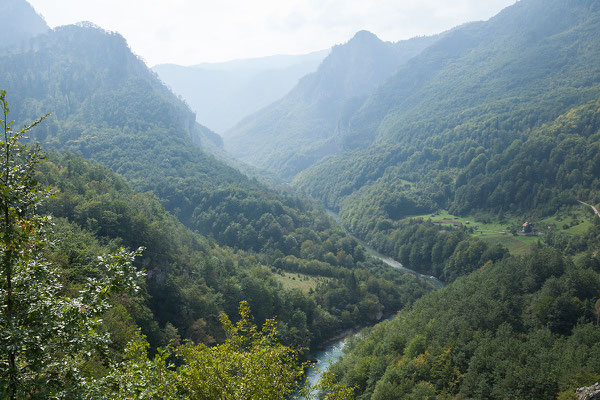 12.9. Blick von der Đurđevića-Tara-Brücke in die Tara-Schlucht. 