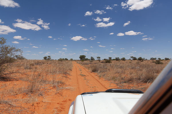 17.02. Die letzen 34 km nach Gharagab führen uns durch wunderschöne Kalahari - Lanschaft.