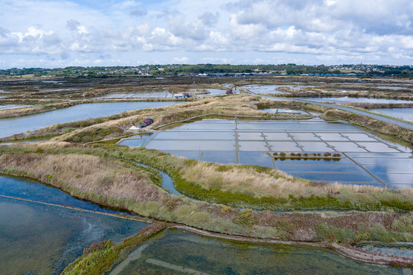Die Salzbauern verzichten so gut wie komplett auf Maschinen und bewirtschaften die Felder noch per Hand. Die traditionellen Techniken gelten als einzigartig und wurden von der UNESCO als Teil des immateriellen Kulturerbes Frankreichs klassiert..