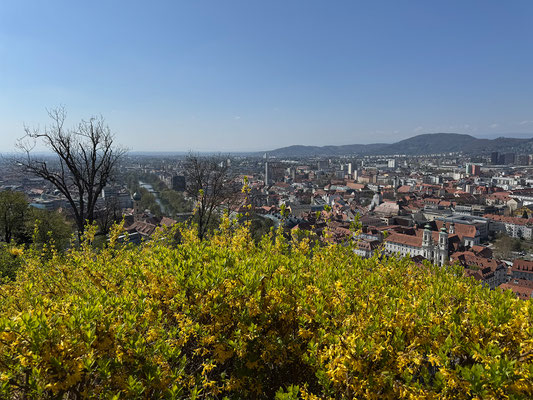 12.04. Schloßberg