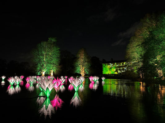 Christmas at Kew