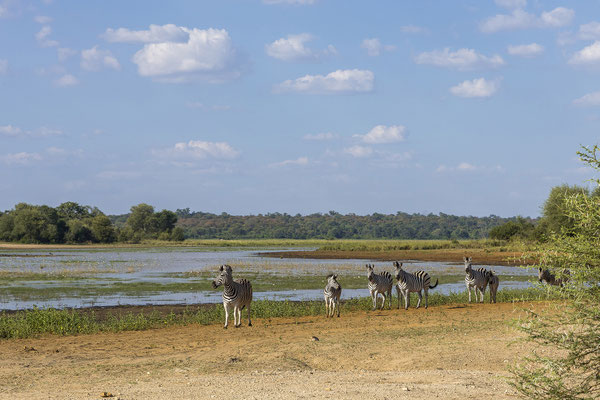 22.03. Am späteren Nachmittag brechen wir zum letzten Game Drive des Urlaubs auf.