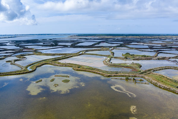 Nach der Stadtbesichtigung fahren wir zu den Salzgärten der Guérande.