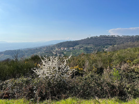 22.03. Auf dem Rückweg nach Pistoia