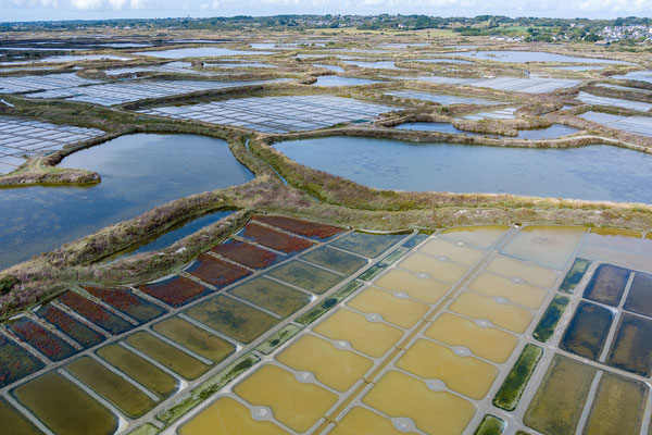 Salzgärten von Guérande