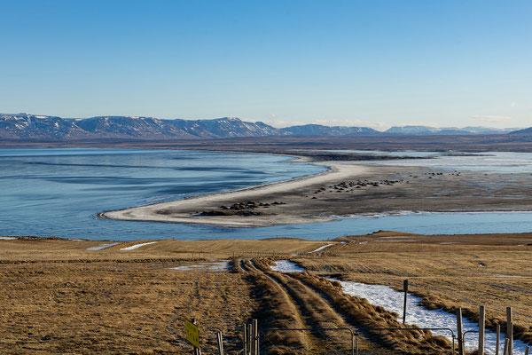 Vatnsnes Halbinsel 