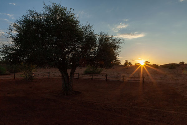 21.02. Bagatelle Kalahari Game Ranch/Campsite Nr. 3: aus dem Dachzelt sehen wir uns den Sonnenaufgang an. Davon kann man nie genug bekommen!